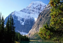 天涯社区高颜值装修图分享：点亮你的居家梦想